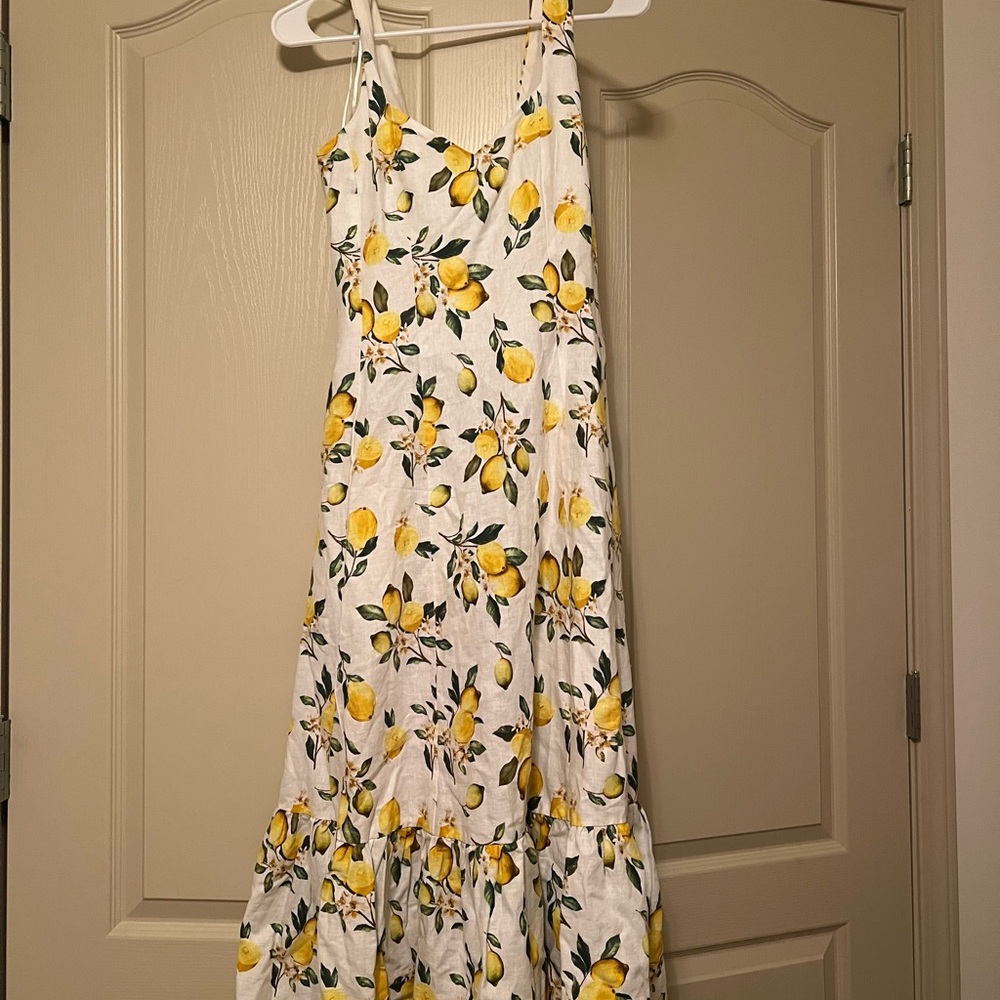 Cynthia Lemon Print Maxi Dress